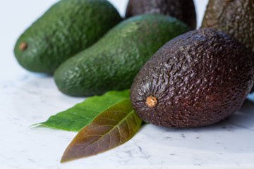 Green ripe avocado