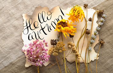 Hello autumn words. Brush lettering text. Modern brush calligraphy.  Dried flowers, beige tissue,  paper