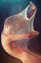 sensual woman stretching  in a white net