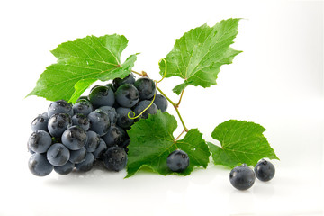 Juicy ripe and delicious grapes