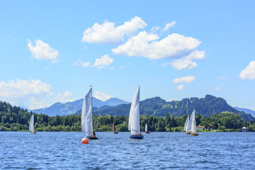 Fototapeta premium Wassersport Segeln auf dem Rottachsee