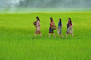 Obraz premium Asian woman wearing traditional thai culture,walking to go home on field,vintage style