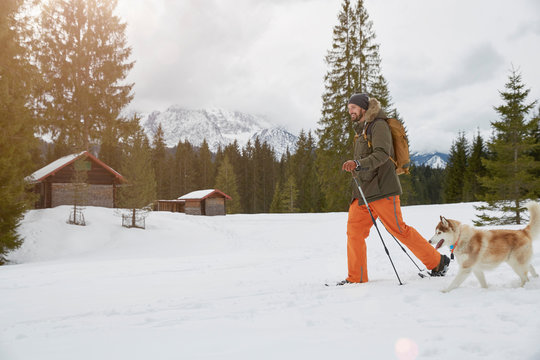 Mid adult man snowshoeing across snowy landscape, dog beside him, Elmau, Bavaria, Germany