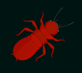 Creepy Termite Insect