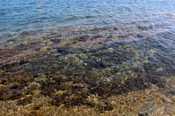 Fondo marino en la bahía de Cadaqués, Cataluña (España)