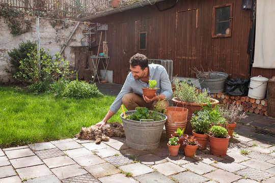Man planting plants in backyard