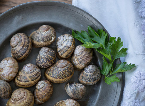 Overhead view of snail shells and herb on a plate