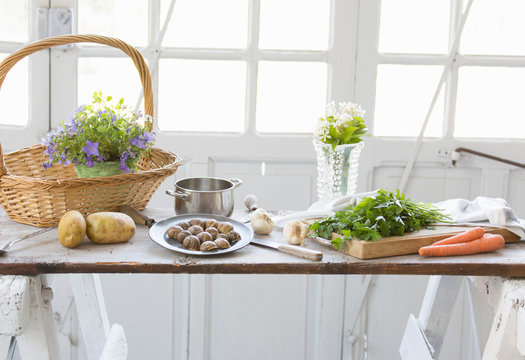 Fresh snails, wild herbs and garlic on kitchen counter, Vogogna,Verbania, Piemonte, Italy