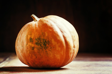 One pumpkin on dark wooden background, selective focus