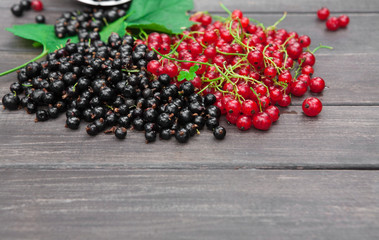 Black and red currants closeup background on rustic wood