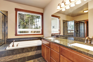 Luxury bathroom with vanity cabinet with granite counter top and large mirror.