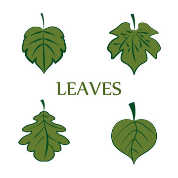 Set of leaves sign pattern