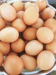 Group of egg background