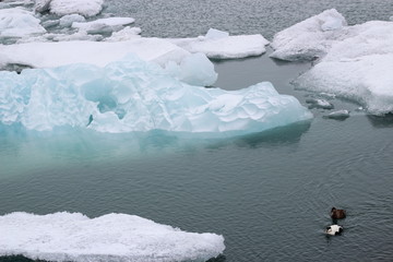 アイスランドの壮大な氷河 © サラリーマン