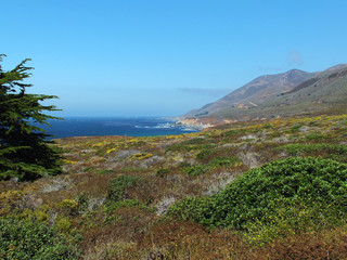 Coast at California Highway 1, USA