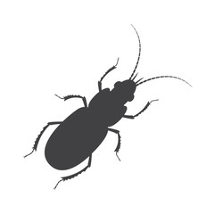 Totengraber Insect Silhouette