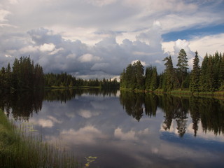Fototapeta na wymiar Seenreiche Waldlandschaft in Schweden, Värmland