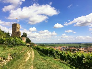 Burg im Weinanbaugebiet