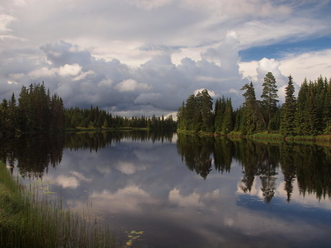 Seenreiche Waldlandschaft in Schweden, V&auml;rmland