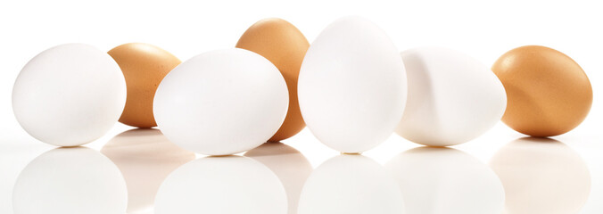 Braune und weiße Eier Freigestellt - Hühnereier Panorama