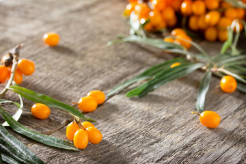 Seabuckthorn berries branch on vintage wooden background. Space
