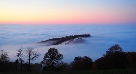 Fototapeta premium Schwarzwald - Nebel