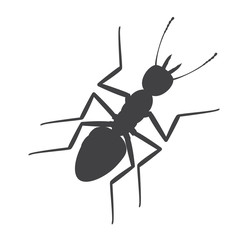 Ant Silhouette