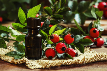 Essential oil of rosehip and fresh berries and leaves, small bot
