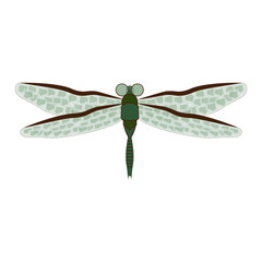 Dragonfly on white background
