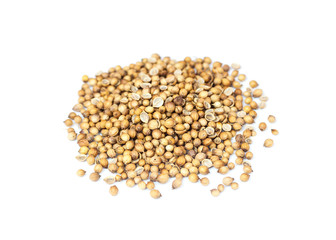 Coriander seeds isolate on white background