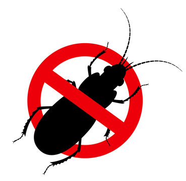 Kill Cockroach Insect Sign