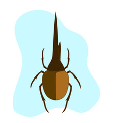 Hercules Beetle Insect
