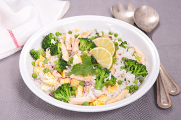 fried rice with vegetable and chicken