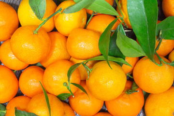 Tangerines with green leaves on the table closeup