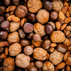 Different kinds of nuts in shells ,cashew, almond, walnut,hazeln