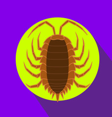 Lice Insect Vector Illustration