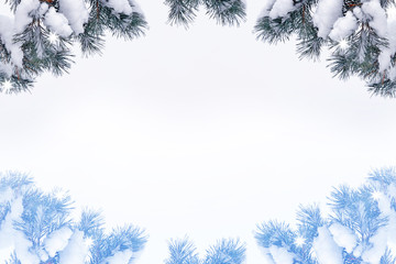  forest in the frost. Winter landscape. Snow covered trees.