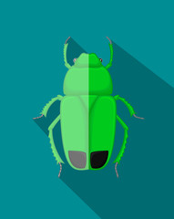 Green Poisonous Beetle Insect