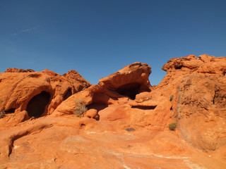 Valley of Fire, Nevada (USA)