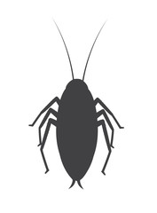 Cockroach Insect Silhouette