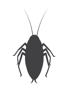 Cockroach Insect Silhouette