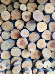 Stacked wood pine timber for construction buildings Background