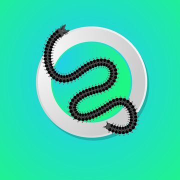 Creepy Centipede Worm
