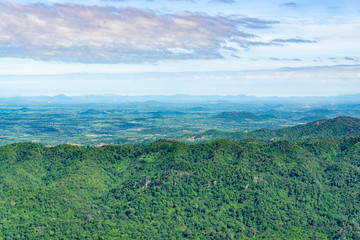 Naklejka premium Green forest on the mountains