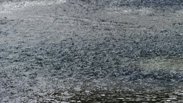  Raindrops falling onto a watery surface, in slow motion