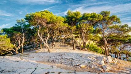 Panorama Of Beautiful Nature Of Calanques On The Azure Coast Of France