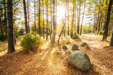 Sunset Sunrise Over Ancient Stones, Boulders From The Ice Age In Forest