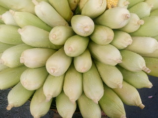 Directly above shot of fresh corns for sale