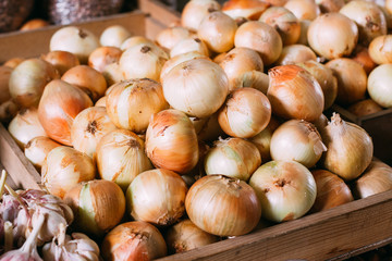 Close View Of Mature Bulb Onions Packed In Bulk In Wooden Box For Sale