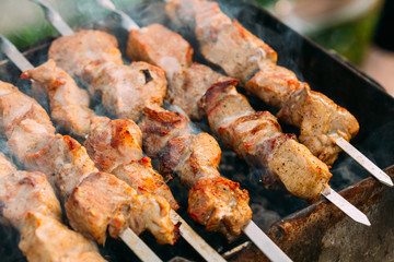 Grilled Barbecue Meat Shashlik Shish Kebab Pork Meat Grilling